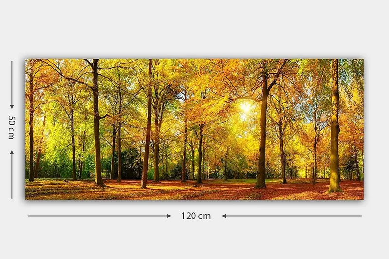 Canvasbilde YTY Landscape & Nature Flerfarget - 120x50 cm - Interiør - Maleri & posters - Lerretsbilder