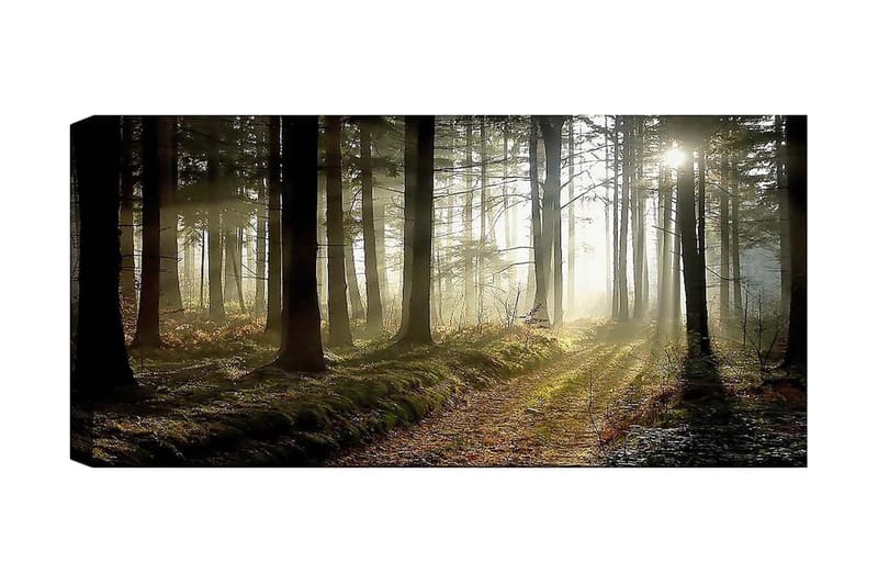 Canvasbilde YTY Landscape & Nature Flerfarget - 120x50 cm - Interiør - Maleri & posters - Lerretsbilder