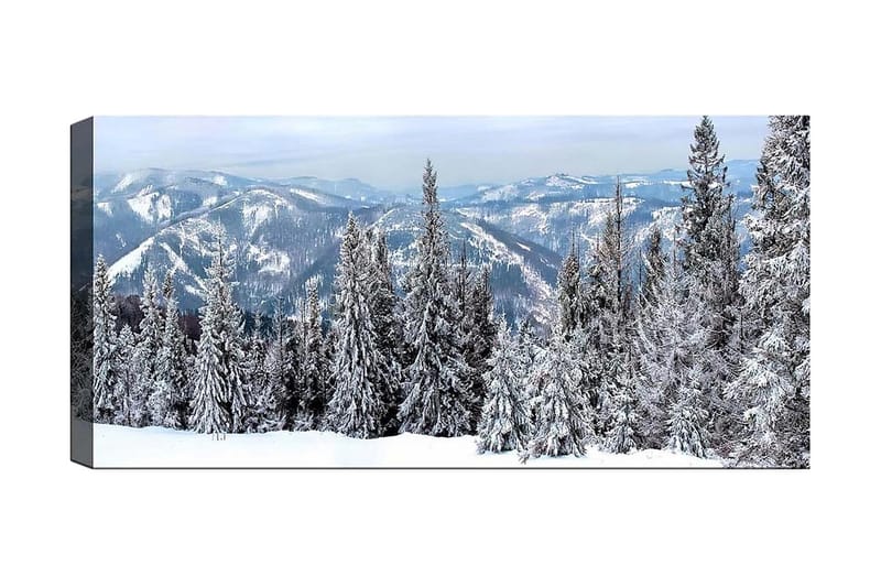 Canvasbilde YTY Landscape & Nature Flerfarget - 120x50 cm - Interiør - Maleri & posters - Lerretsbilder
