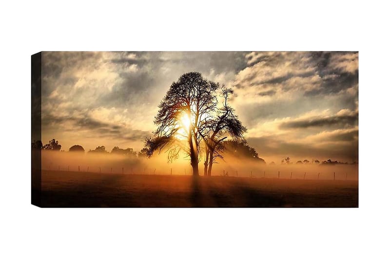 Canvasbilde YTY Landscape & Nature Flerfarget - 120x50 cm - Interiør - Maleri & posters - Lerretsbilder