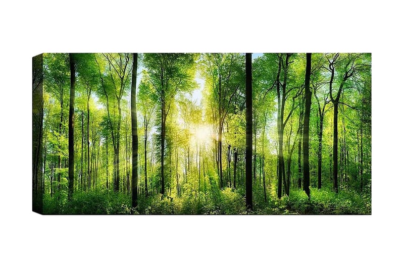 Canvasbilde YTY Landscape & Nature Flerfarget - 120x50 cm - Interiør - Maleri & posters - Lerretsbilder