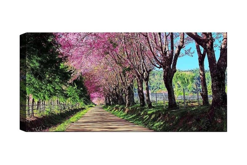 Canvasbilde YTY Landscape & Nature Flerfarget - 120x50 cm - Interiør - Maleri & posters - Lerretsbilder