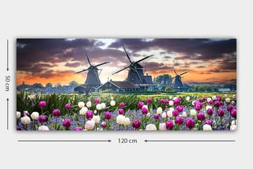 Canvasbilde YTY Landscape & Nature Flerfarget - 120x50 cm - Interiør - Maleri & posters - Lerretsbilder