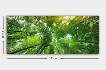 Canvasbilde YTY Landscape & Nature Flerfarget - 120x50 cm - Interiør - Maleri & posters - Lerretsbilder