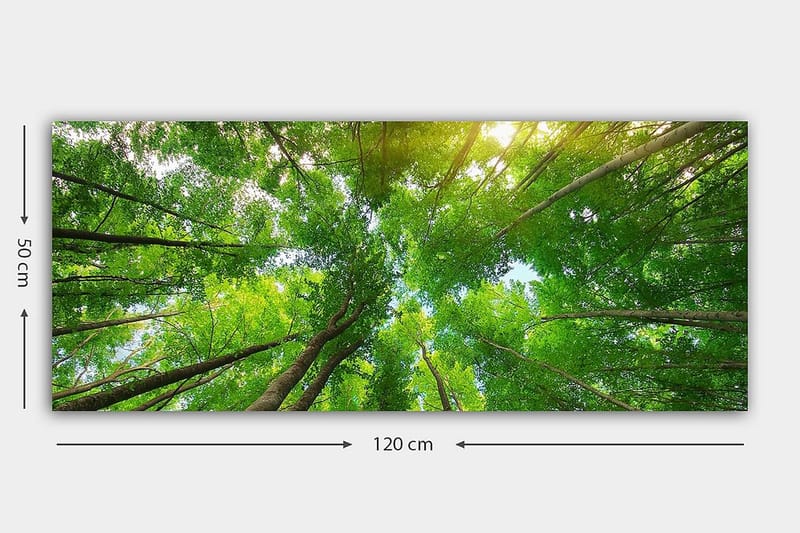 Canvasbilde YTY Landscape & Nature Flerfarget - 120x50 cm - Interiør - Maleri & posters - Lerretsbilder