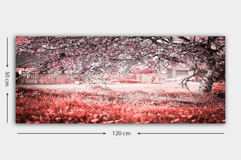 Canvasbilde YTY Landscape & Nature Flerfarget - 120x50 cm - Interiør - Maleri & posters - Lerretsbilder