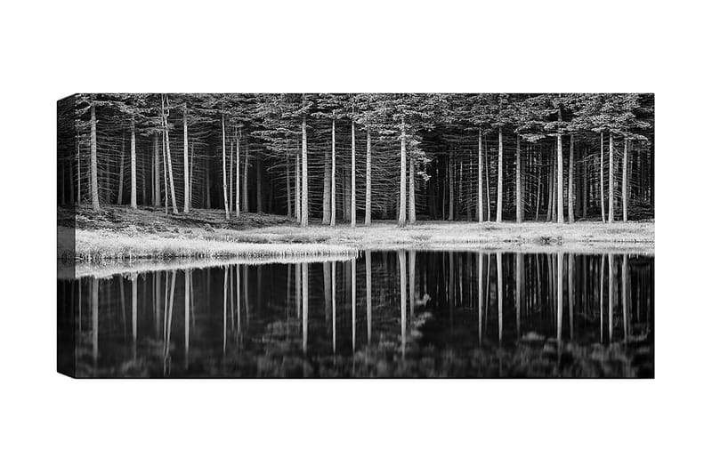 Canvasbilde YTY Landscape & Nature Flerfarget - 120x50 cm - Interiør - Maleri & posters - Lerretsbilder