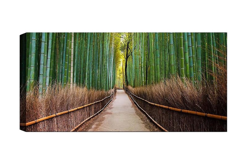 Canvasbilde YTY Landscape & Nature Flerfarget - 120x50 cm - Interiør - Maleri & posters - Lerretsbilder