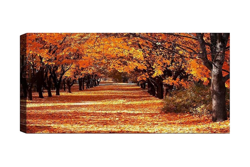 Canvasbilde YTY Landscape & Nature Flerfarget - 120x50 cm - Interiør - Maleri & posters - Lerretsbilder