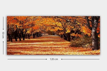 Canvasbilde YTY Landscape & Nature Flerfarget - 120x50 cm - Interiør - Maleri & posters - Lerretsbilder
