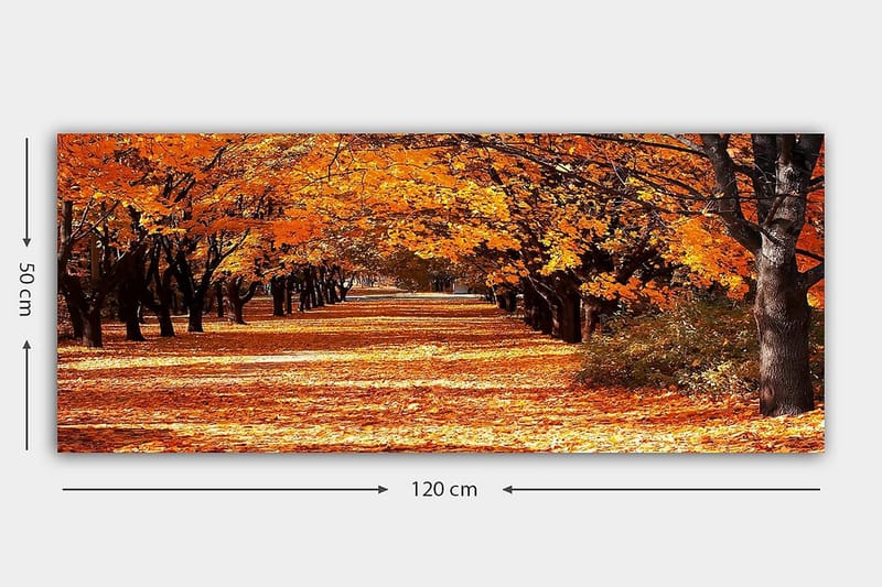 Canvasbilde YTY Landscape & Nature Flerfarget - 120x50 cm - Interiør - Maleri & posters - Lerretsbilder