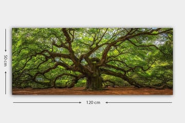 Canvasbilde YTY Landscape & Nature Flerfarget - 120x50 cm - Interiør - Maleri & posters - Lerretsbilder