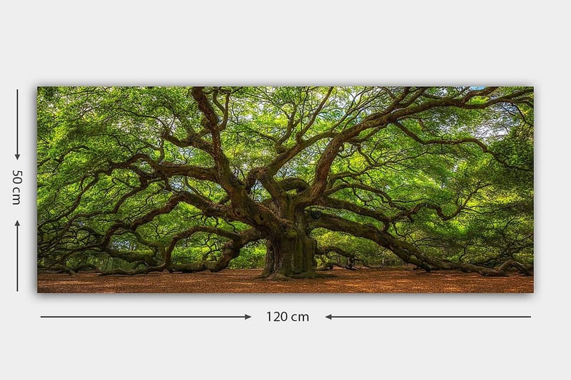 Canvasbilde YTY Landscape & Nature Flerfarget - 120x50 cm - Interiør - Maleri & posters - Lerretsbilder