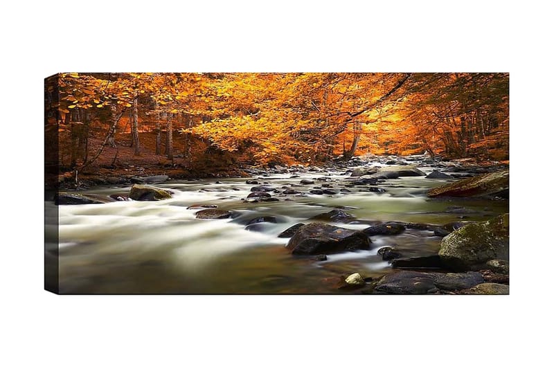 Canvasbilde YTY Landscape & Nature Flerfarget - 120x50 cm - Interiør - Maleri & posters - Lerretsbilder