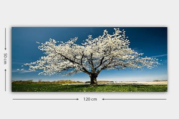 Canvasbilde YTY Landscape & Nature Flerfarget - 120x50 cm - Interiør - Maleri & posters - Lerretsbilder