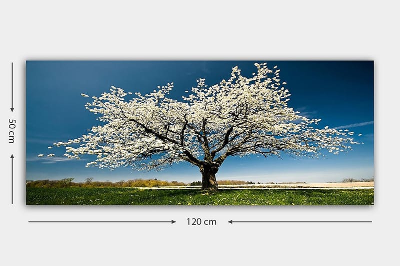 Canvasbilde YTY Landscape & Nature Flerfarget - 120x50 cm - Interiør - Maleri & posters - Lerretsbilder