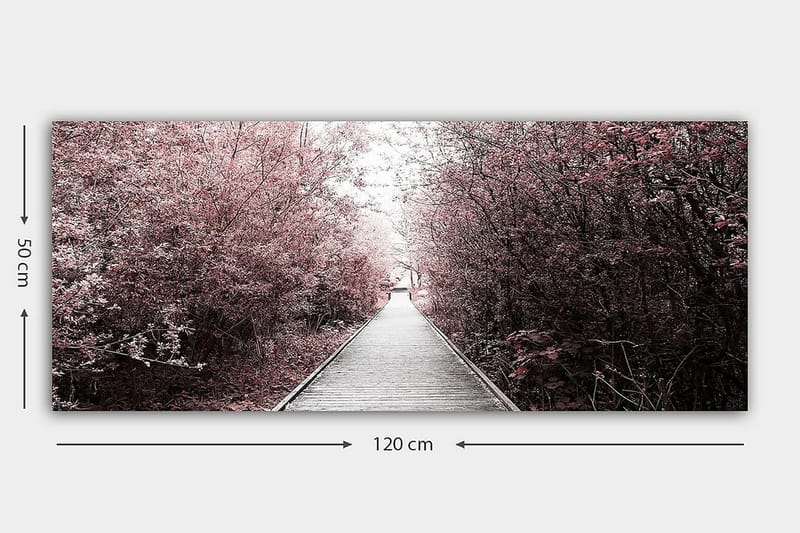 Canvasbilde YTY Landscape & Nature Flerfarget - 120x50 cm - Interiør - Maleri & posters - Lerretsbilder