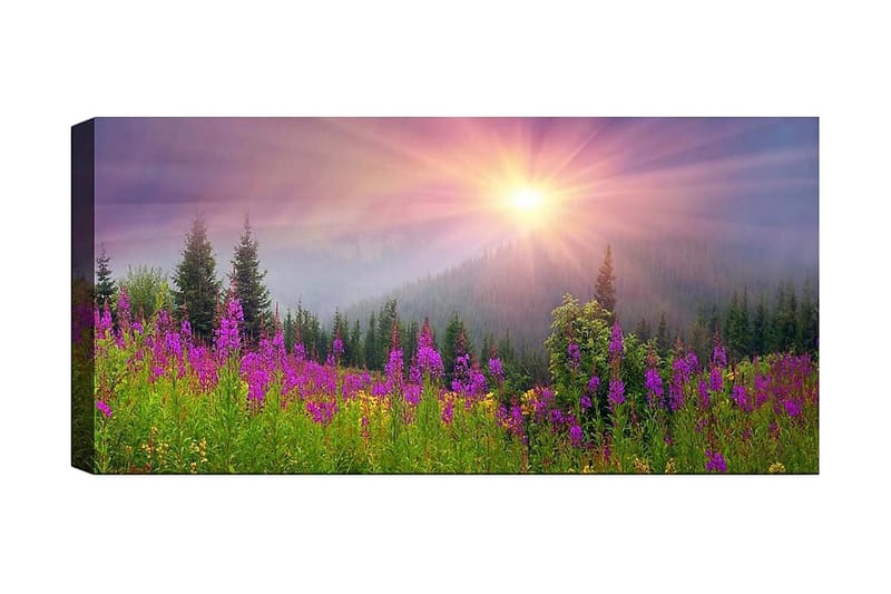 Canvasbilde YTY Landscape & Nature Flerfarget - 120x50 cm - Interiør - Maleri & posters - Lerretsbilder