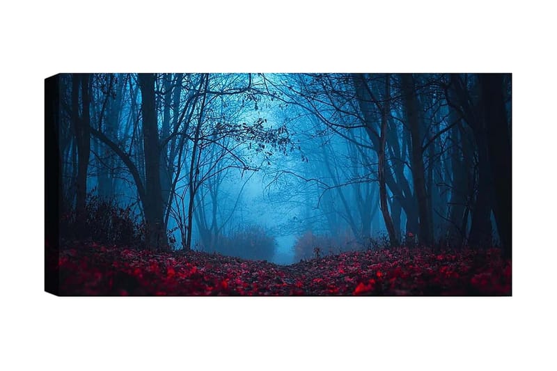 Canvasbilde YTY Landscape & Nature Flerfarget - 120x50 cm - Interiør - Maleri & posters - Lerretsbilder