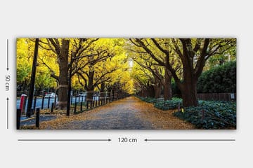 Canvasbilde YTY Landscape & Nature Flerfarget - 120x50 cm - Interiør - Maleri & posters - Lerretsbilder