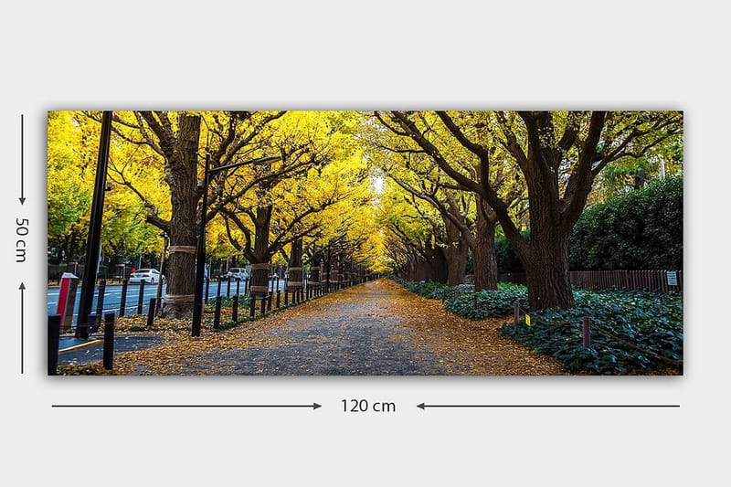 Canvasbilde YTY Landscape & Nature Flerfarget - 120x50 cm - Interiør - Maleri & posters - Lerretsbilder