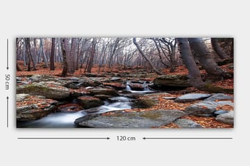 Canvasbilde YTY Landscape & Nature Flerfarget - 120x50 cm - Interiør - Maleri & posters - Lerretsbilder