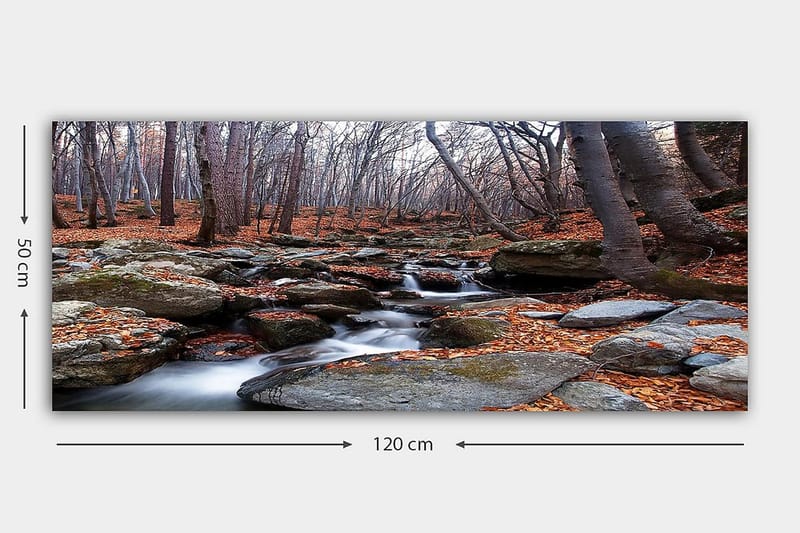 Canvasbilde YTY Landscape & Nature Flerfarget - 120x50 cm - Interiør - Maleri & posters - Lerretsbilder
