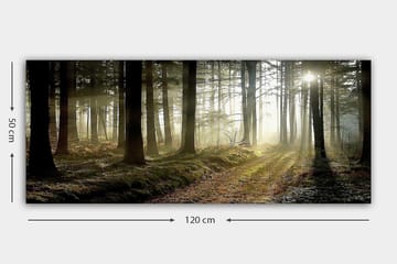 Canvasbilde YTY Landscape & Nature Flerfarget - 120x50 cm - Interiør - Maleri & posters - Lerretsbilder