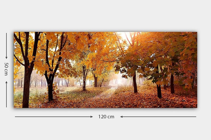 Canvasbilde YTY Landscape & Nature Flerfarget - 120x50 cm - Interiør - Maleri & posters - Lerretsbilder