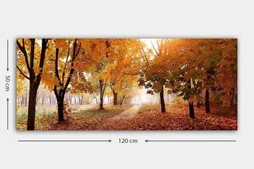 Canvasbilde YTY Landscape & Nature Flerfarget - 120x50 cm - Interiør - Maleri & posters - Lerretsbilder