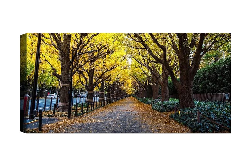 Canvasbilde YTY Landscape & Nature Flerfarget, 120x50 cm