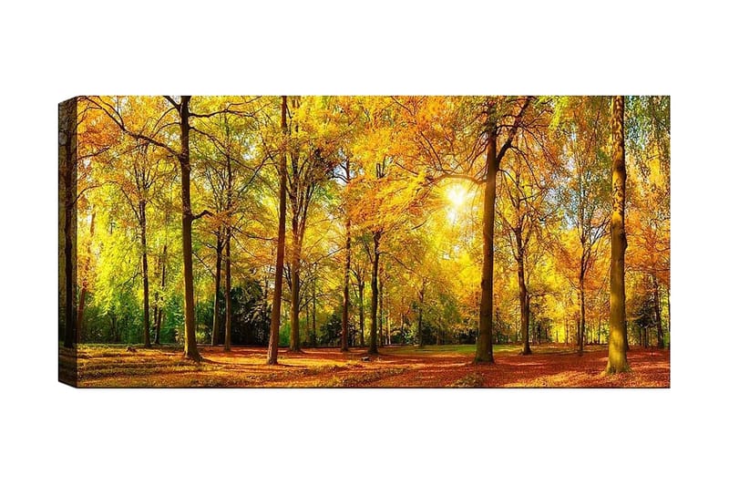 Canvasbilde YTY Landscape & Nature Flerfarget, 120x50 cm