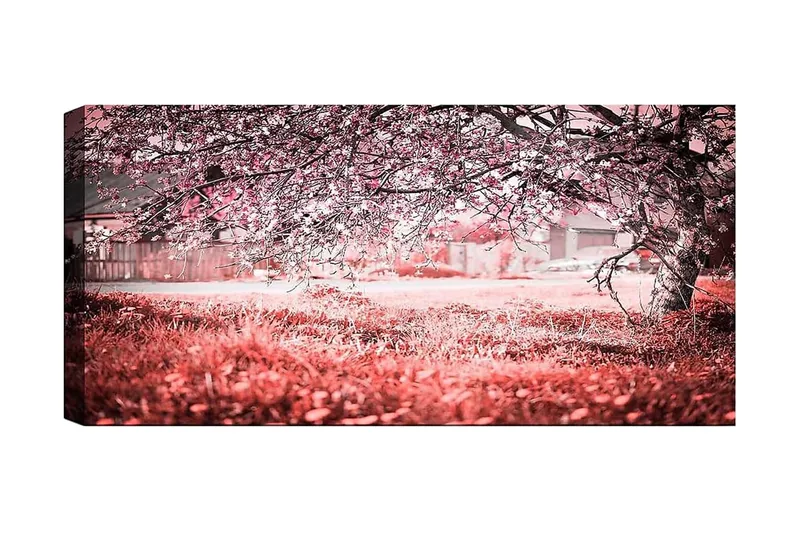 Canvasbilde YTY Landscape & Nature Flerfarget, 120x50 cm