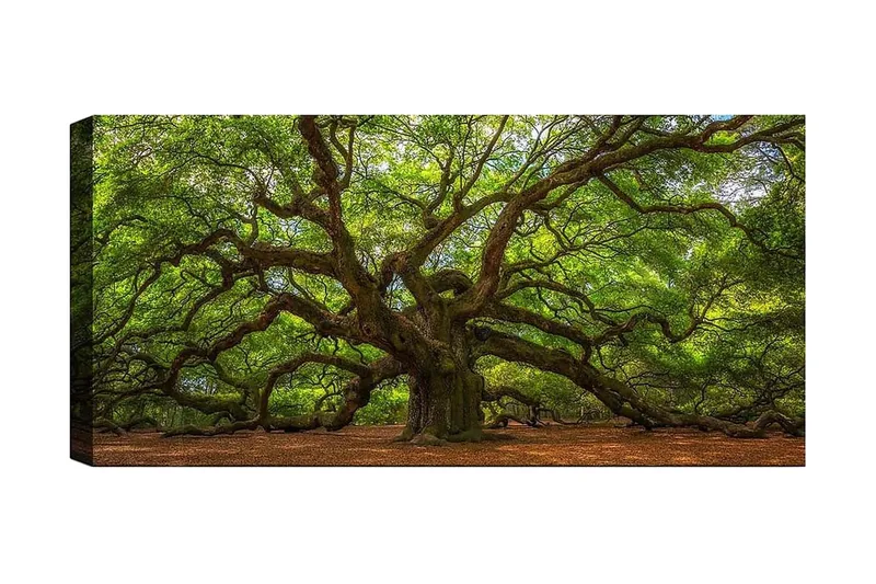 Canvasbilde YTY Landscape & Nature Flerfarget, 120x50 cm