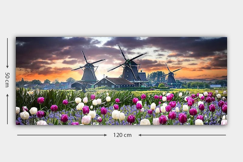 Canvasbilde YTY Landscape & Nature Flerfarget - 120x50 cm - Interiør - Maleri & posters - Lerretsbilder