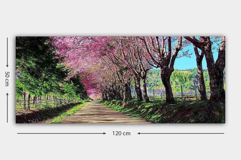 Canvasbilde YTY Landscape & Nature Flerfarget - 120x50 cm - Interiør - Maleri & posters - Lerretsbilder