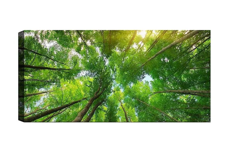 Canvasbilde YTY Landscape & Nature Flerfarget, 120x50 cm