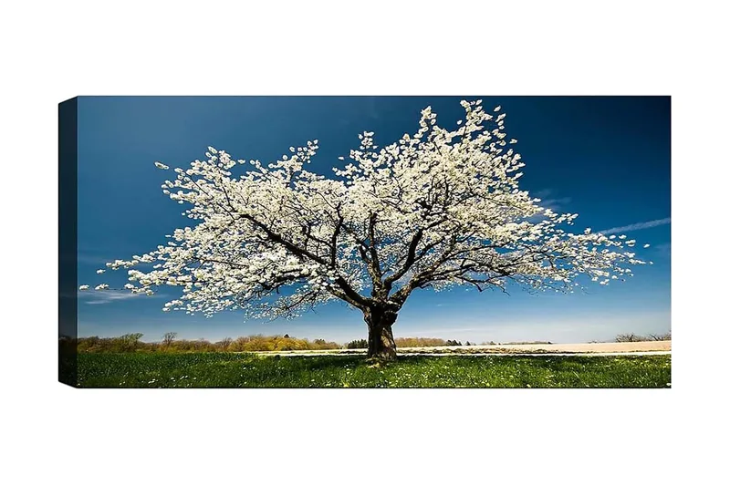 Canvasbilde YTY Landscape & Nature Flerfarget, 120x50 cm