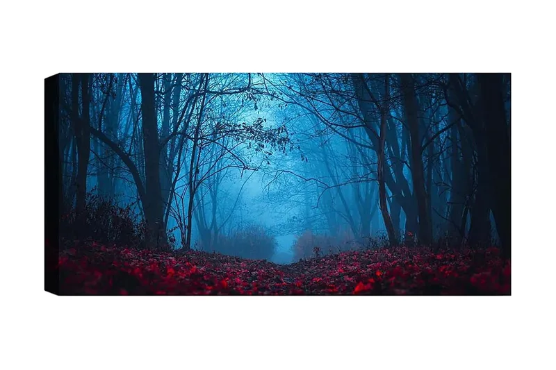 Canvasbilde YTY Landscape & Nature Flerfarget, 120x50 cm