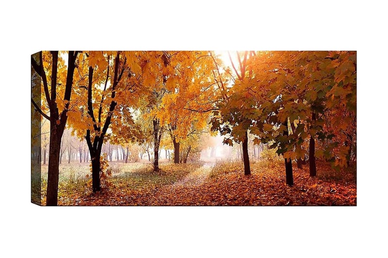 Canvasbilde YTY Landscape & Nature Flerfarget - 120x50 cm - Interiør - Maleri & posters - Lerretsbilder