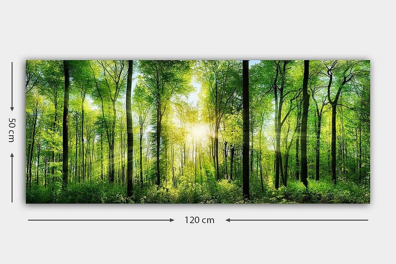Canvasbilde YTY Landscape & Nature Flerfarget - 120x50 cm - Interiør - Maleri & posters - Lerretsbilder