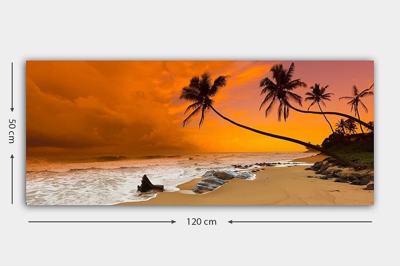 Canvasbilde YTY Nautical & Beach Flerfarget - 120x50 cm - Interiør - Maleri & posters - Lerretsbilder