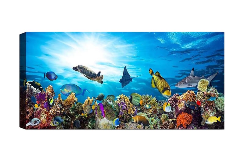 Canvasbilde YTY Nautical & Beach Flerfarget - 120x50 cm - Interiør - Maleri & posters - Lerretsbilder