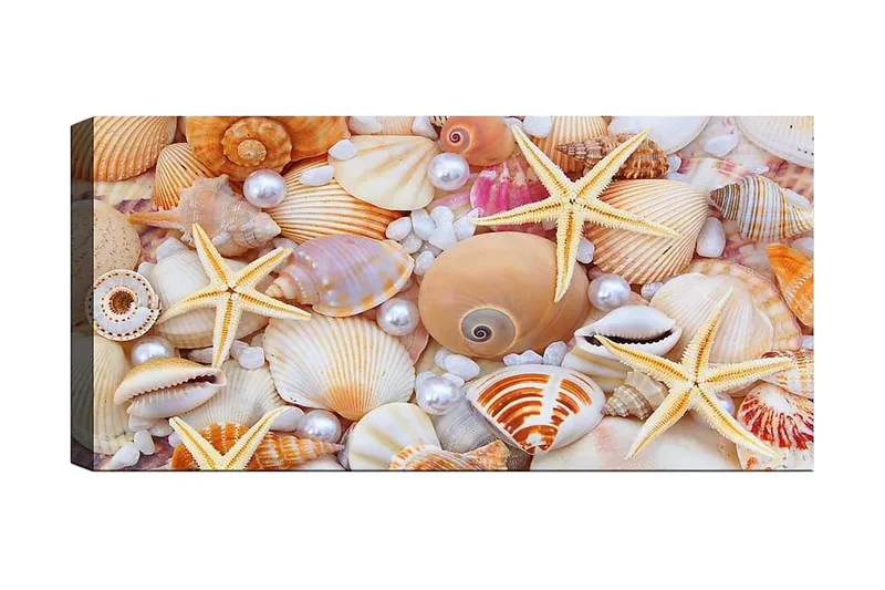 Canvasbilde YTY Nautical & Beach Flerfarget, 120x50 cm