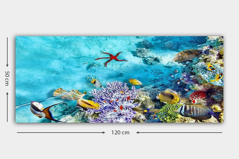 Canvasbilde YTY Nautical & Beach Flerfarget - 120x50 cm - Interiør - Maleri & posters - Lerretsbilder