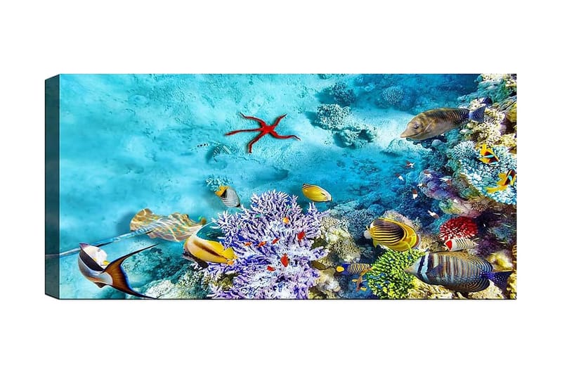 Canvasbilde YTY Nautical & Beach Flerfarget, 120x50 cm