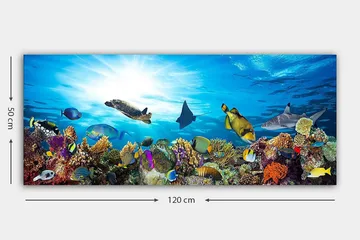 Canvasbilde YTY Nautical & Beach Flerfarget - 120x50 cm - Interiør - Maleri & posters - Lerretsbilder