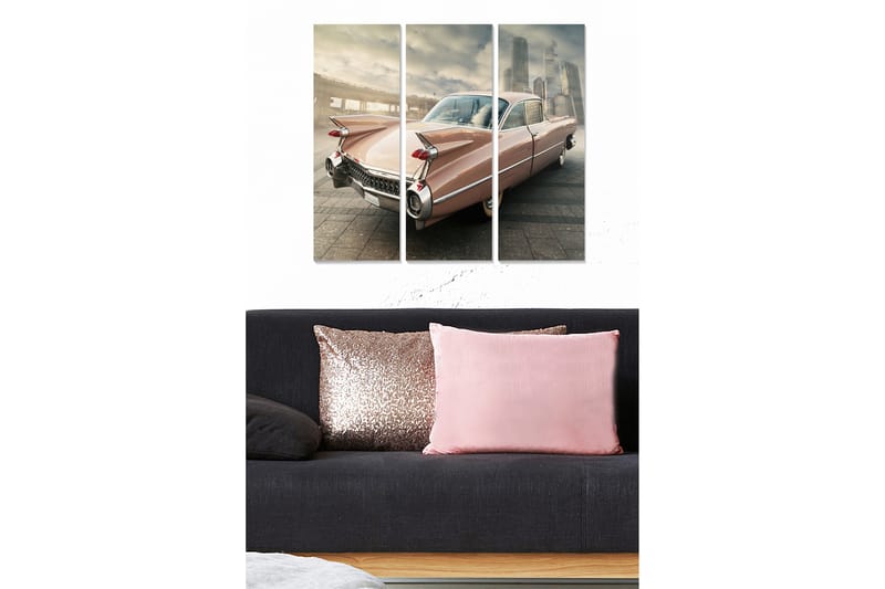 Canvastbilde Vehicle 3-pk Flerfarget - 22x05 cm - Interiør - Maleri & posters - Lerretsbilder