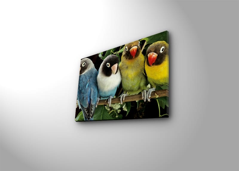 Dekorativ Canvasbilde 28x38 cm - Flerfarget - Interiør - Maleri & posters - Lerretsbilder