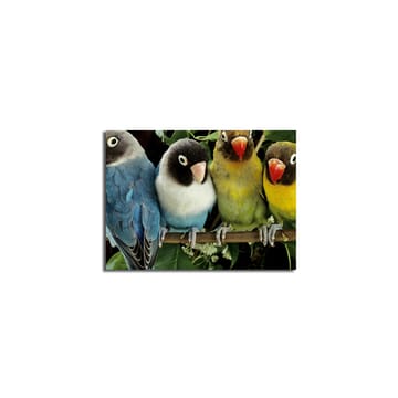 Dekorativ Canvasbilde 28x38 cm - Flerfarget - Interiør - Maleri & posters - Lerretsbilder